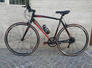 greenbike pesaro-bici adriatica Tiger